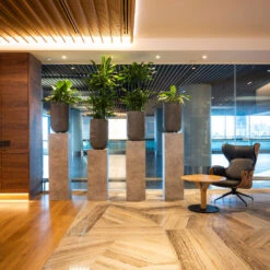 Cody Plant Vase - Ridged Dark Grey -Indoor Plants Store CodyPlantVase RidgedDarkGrey 9