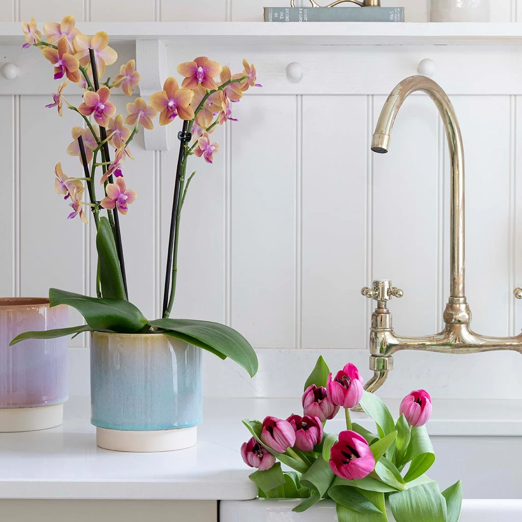 Copenhagen Plant Pot - Aqua 7 Copenhagen Plant Pot - Aqua - Image 5