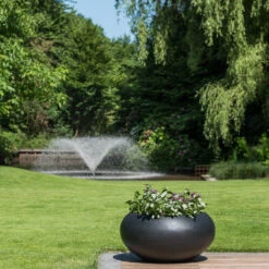 Cora Natural Bowl Planter - Black -Indoor Plants Store CoraNaturalBowlPlanter Black 2