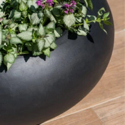 Cora Natural Bowl Planter - Black -Indoor Plants Store CoraNaturalBowlPlanter Black 4