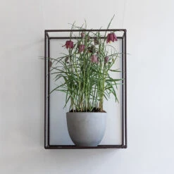 Coral Refined Planter - Clouded Grey -Indoor Plants Store Coral Refined Planter Clouded Grey Lifestyle