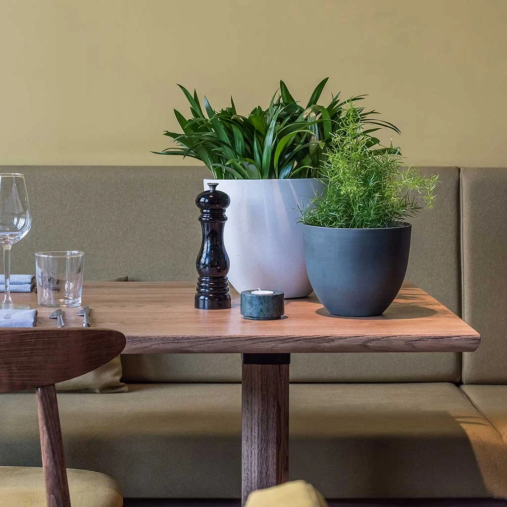 Coral Refined Planter - Natural White 9 Coral Refined Planter - Natural White - Image 7