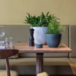 Coral Refined Planter - Pine Green 12 Coral Refined Planter - Pine Green -Indoor Plants Store Coral Refined Planter Pine Green Natural White Houseplants 08543535 5541 428b 8ac7 bb7a385db61c