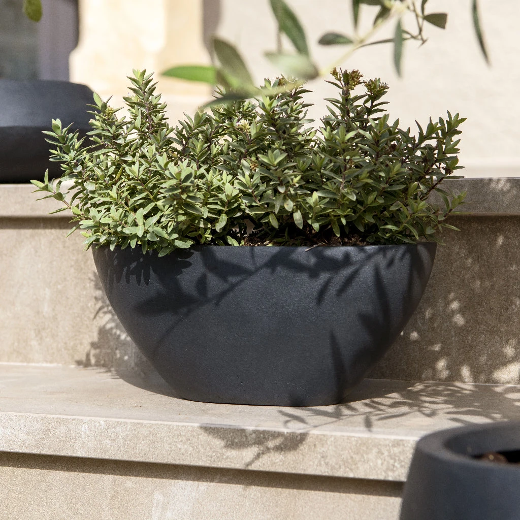 Dorant Natural Planter - Black 6 Dorant Natural Planter - Black - Image 4