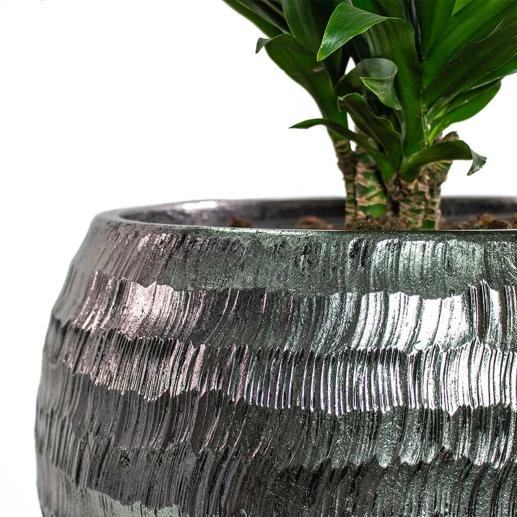 Opus Hammered Globe Planter - Silver 17 Opus Hammered Globe Planter - Silver - Image 15