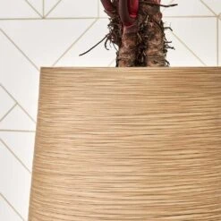 Dune Partner Planter - Almond 28 Dune Partner Planter - Almond -Indoor Plants Store Dune Partner Planter Almond Close Up 1