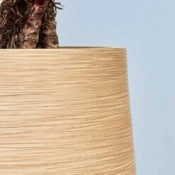 Dune Partner Planter - Almond 27 Dune Partner Planter - Almond -Indoor Plants Store Dune Partner Planter Almond Close Up 2 jpg