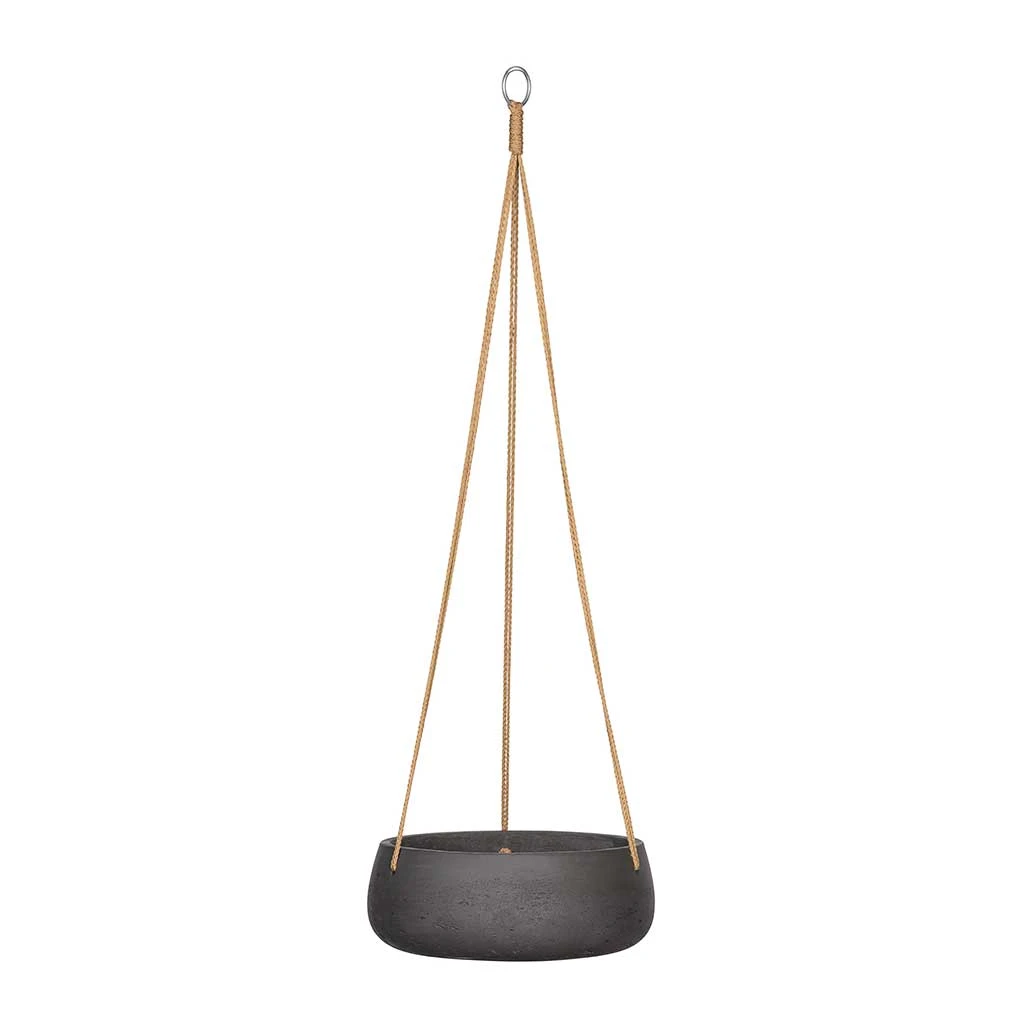 Eileen Hanging Plant Bowl - Black Washed 3 Eileen Hanging Plant Bowl - Black Washed