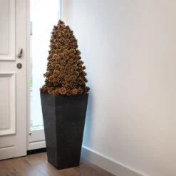 Ella Artstone Tall Planter - Black -Indoor Plants Store Ella Artstone Tall Planter Black 1