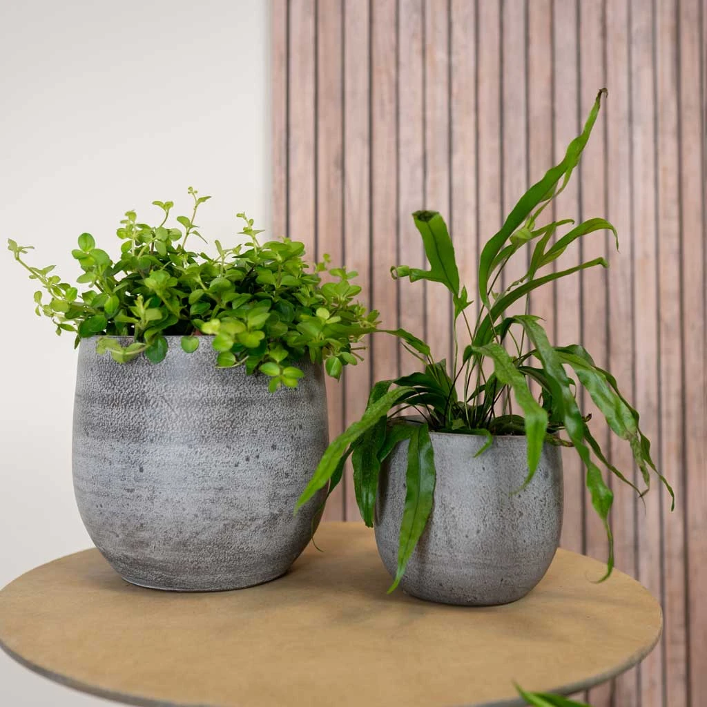 Esra Plant Pot - Mystic Grey 4 Esra Plant Pot - Mystic Grey - Image 2