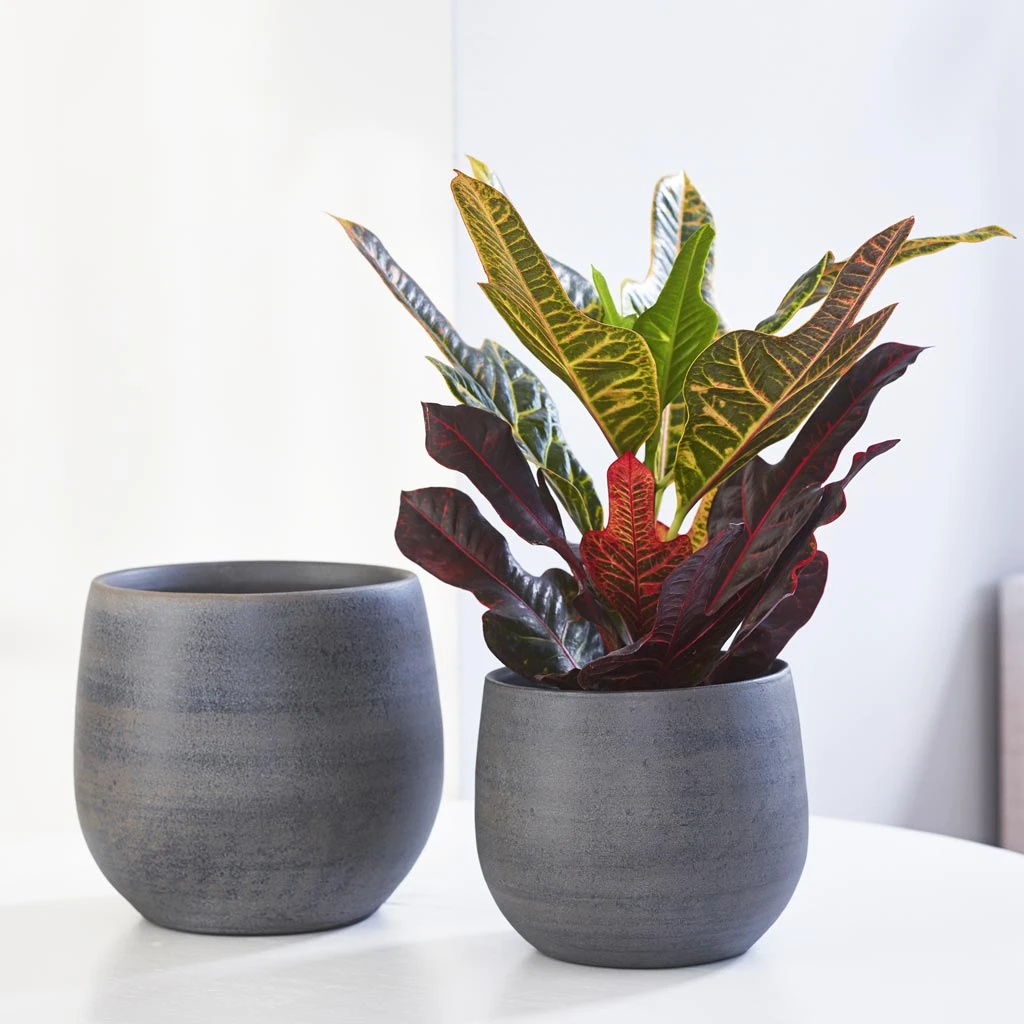 Esra Plant Pot - Graphite 17 Esra Plant Pot - Graphite - Image 15