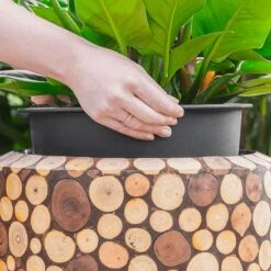 Facets Couple Planter - Ageless -Indoor Plants Store Facets Couple Planter Ageless 1