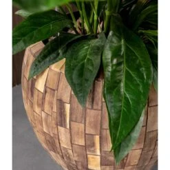 Facets Couple Planter - Jenga -Indoor Plants Store Facets Couple Planter Jenga Lifestyle Close