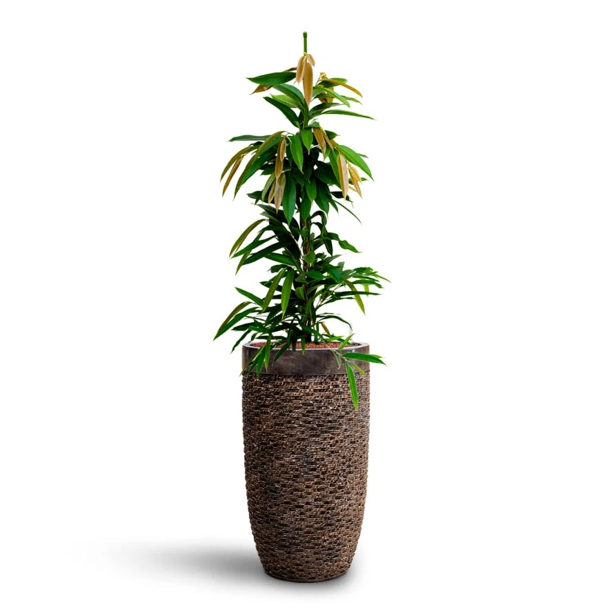 Luxe Lite Layer Partner Planter - Bronze 11 Luxe Lite Layer Partner Planter - Bronze - Image 9