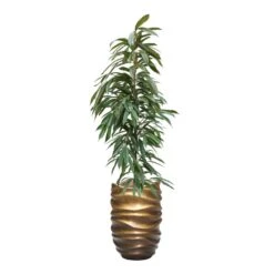 Gradient Lee Partner Planter - Matt Honey 20 Gradient Lee Partner Planter - Matt Honey -Indoor Plants Store FicusAmstelKing Hydroculture GradientLeePartnerPlanter MattHoney 891a2ee2 749a 461d 90b9 cabd7f9003d0