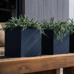 Fleur Natural Planter - Black -Indoor Plants Store FleurNaturalPlanter Black 5