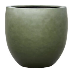 Gradient Balloon Planter - Matt Forest 11 Gradient Balloon Planter - Matt Forest -Indoor Plants Store Gradient Balloon Planter Matt Forest 70x68cm