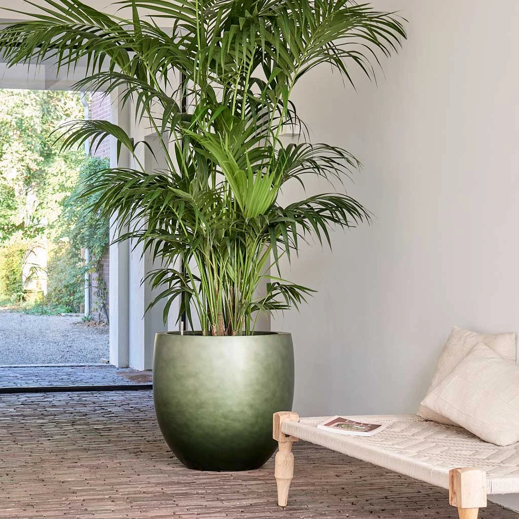 Gradient Couple Planter - Matt Forest 4 Gradient Couple Planter - Matt Forest - Image 2