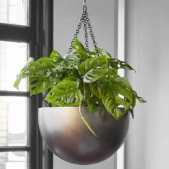Gradient Hanging Plant Bowl - Matt Coffee -Indoor Plants Store Gradient Hanging Bowl Matt Coffee
