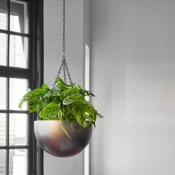 Gradient Hanging Plant Bowl - Matt Coffee -Indoor Plants Store Gradient Hanging Plant Bowl Matt Coffee 1