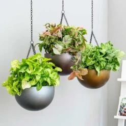 Gradient Hanging Plant Bowl - Matt Coffee -Indoor Plants Store Gradient Hanging Plant Bowl db68eaf3 31c5 4680 a11f c21401681759