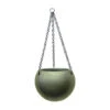 Gradient Hanging Plant Globe - Matt Forest -Indoor Plants Store Gradient Hanging Plant Globe Matt Forest 24x19cm