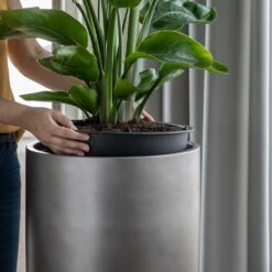 Gradient Partner Planter - Matt Grey -Indoor Plants Store Gradient Partner Planter Matt Grey 1