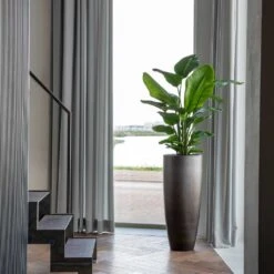 Gradient Partner Planter - Matt Grey -Indoor Plants Store Gradient Partner Planter Matt Grey 4