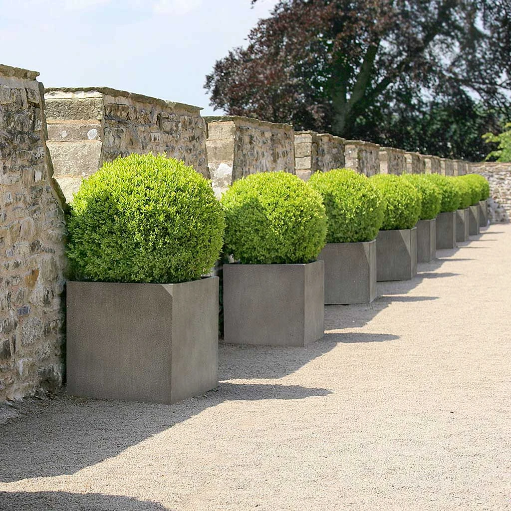 Grigio Cube Planter - Natural Concrete 4 Grigio Cube Planter - Natural Concrete - Image 2