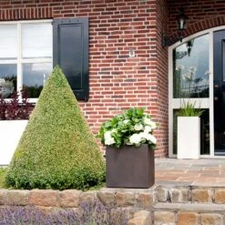 Grigio Cube Planter - Rusty Iron Concrete -Indoor Plants Store Grigio Cube Planter Rusty Iron Concrete LS1