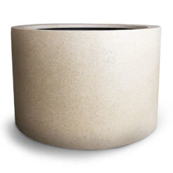 Grigio Cylinder Planter - Antique White Concrete 12 Grigio Cylinder Planter - Antique White Concrete -Indoor Plants Store Grigio Cylinder Planter Antique White Concrete 08a9cf77 9256 45e9 ad31 bae730a64d75