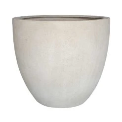 Grigio Egg Pot Planter - Antique White Concrete -Indoor Plants Store Grigio Egg Pot Planter Antique White Concrete Style