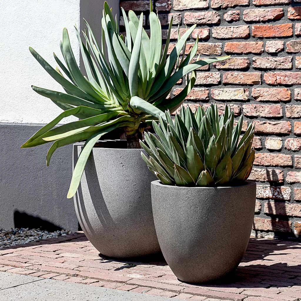 Grigio New Egg Pot Planter - Natural Concrete 4 Grigio New Egg Pot Planter - Natural Concrete - Image 2