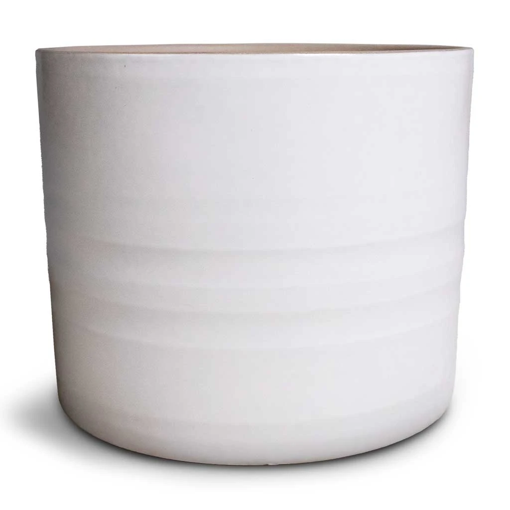 Hadleigh Plant Pot - White 8 Hadleigh Plant Pot - White - Image 6