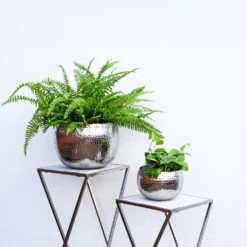 Hammered Bowl - Nickel With Black -Indoor Plants Store Hammered Bowl Silver Lifestyle 2