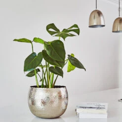 Hammered Bowl - Nickel With Black -Indoor Plants Store Hammered Bowl Silver Lifestyle