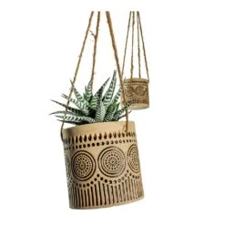 Haworthia Fasciala Alba -Indoor Plants Store Haworthia fasciala Alba Syb Hanging Planters Set of 2 Gold