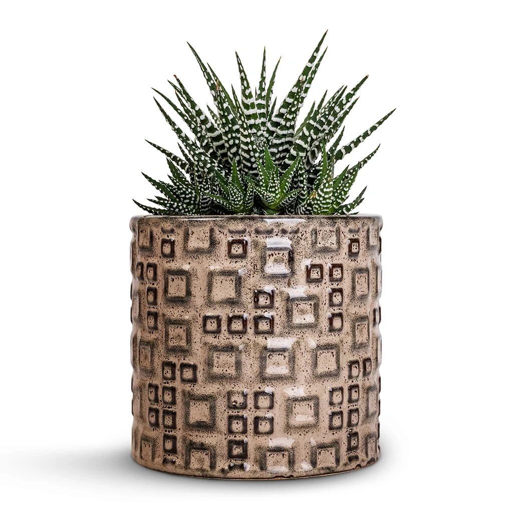Fiene Plant Pot - Grey 4 Fiene Plant Pot - Grey - Image 2
