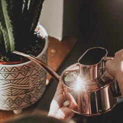 Haws Fazeley Flow Watering Can - One Pint Copper -Indoor Plants Store Haws Fazeley Flow One Pint Copper LS