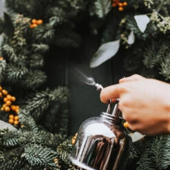 Haws Smethwick Spritzer In Nickel 9 Haws Smethwick Spritzer In Nickel -Indoor Plants Store Haws Smethwick Spritzer in Nickel 2