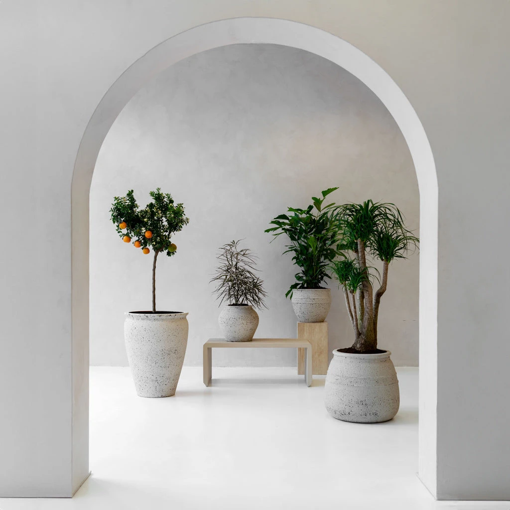 Athena Mediterranean Planter - Chalk White 13 Athena Mediterranean Planter - Chalk White - Image 11