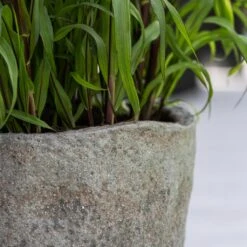 Hunter Mountain Planter - Granite Grey 20 Hunter Mountain Planter - Granite Grey -Indoor Plants Store Hunter Mountain Planter Granite Grey Lifestyle 1