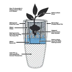 Ficus Amstel King - HydroCare 30 Ficus Amstel King - HydroCare -Indoor Plants Store Hydroculture Planter Diagram 98dbed1e b813 4575 bfea 0ee17d49bdf9