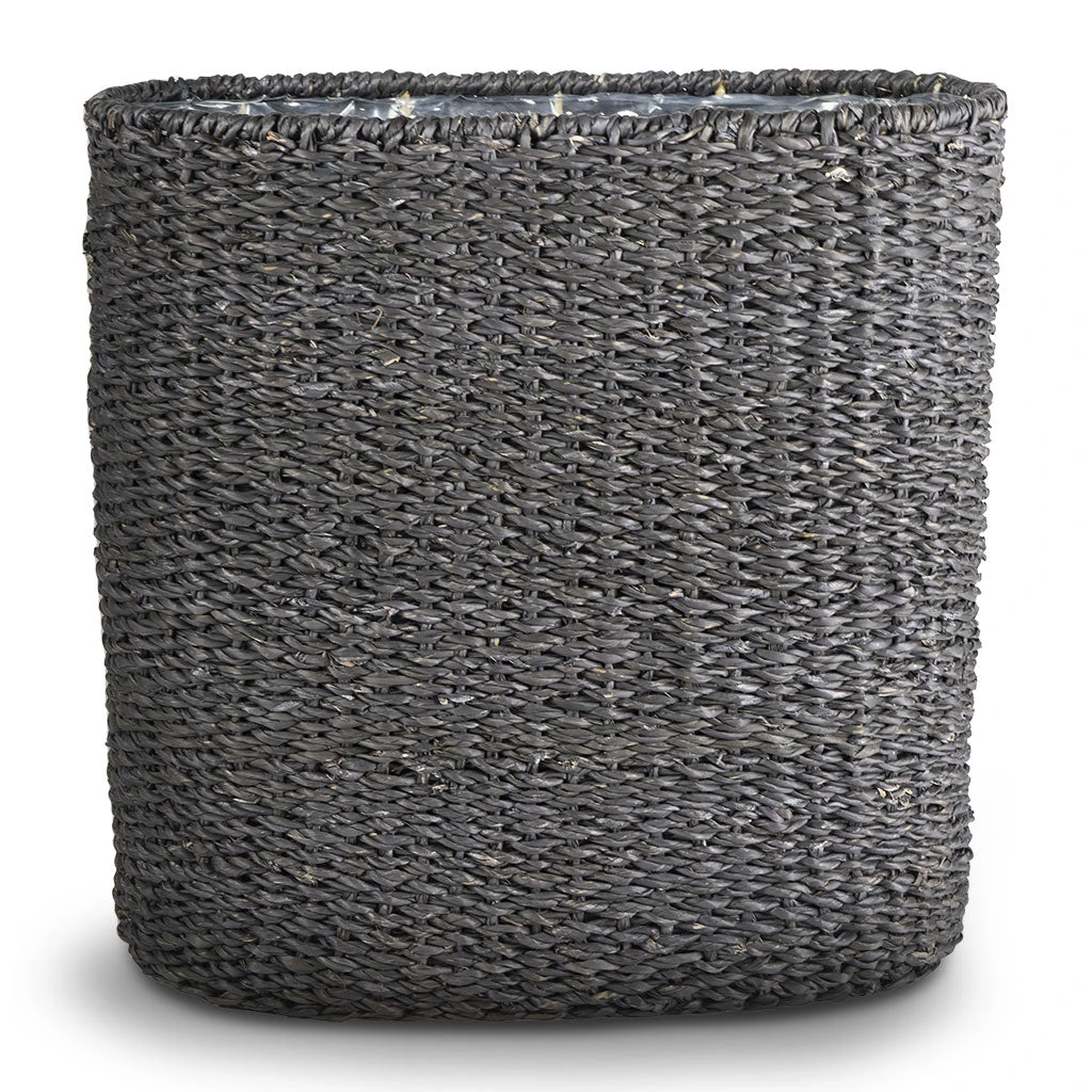 Isaac Plant Baskets - Set Of 3 - Oval - Black 6 Isaac Plant Baskets - Set Of 3 - Oval - Black - Image 4