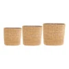 Isaac Plant Baskets - Set Of 3 - Oval - Natural 2 Isaac Plant Baskets - Set Of 3 - Oval - Natural -Indoor Plants Store Isaac Plant Baskets Set of 3 Round Natural