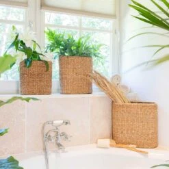 Isaac Plant Baskets - Set Of 3 - Oval - Natural -Indoor Plants Store Isaac Plant Baskets Set of 3 Round Natural Houseplants