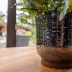 Jayla Plant Pot - Espresso -Indoor Plants Store Jayla Espresso 2