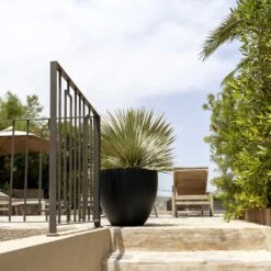 Jesslyn Natural Planter - Black 14 Jesslyn Natural Planter - Black -Indoor Plants Store Jesslyn Natural Planter Black 1