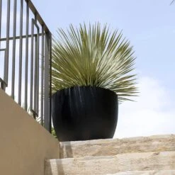 Jesslyn Natural Planter - Black 19 Jesslyn Natural Planter - Black -Indoor Plants Store Jesslyn Natural Planter Black 2