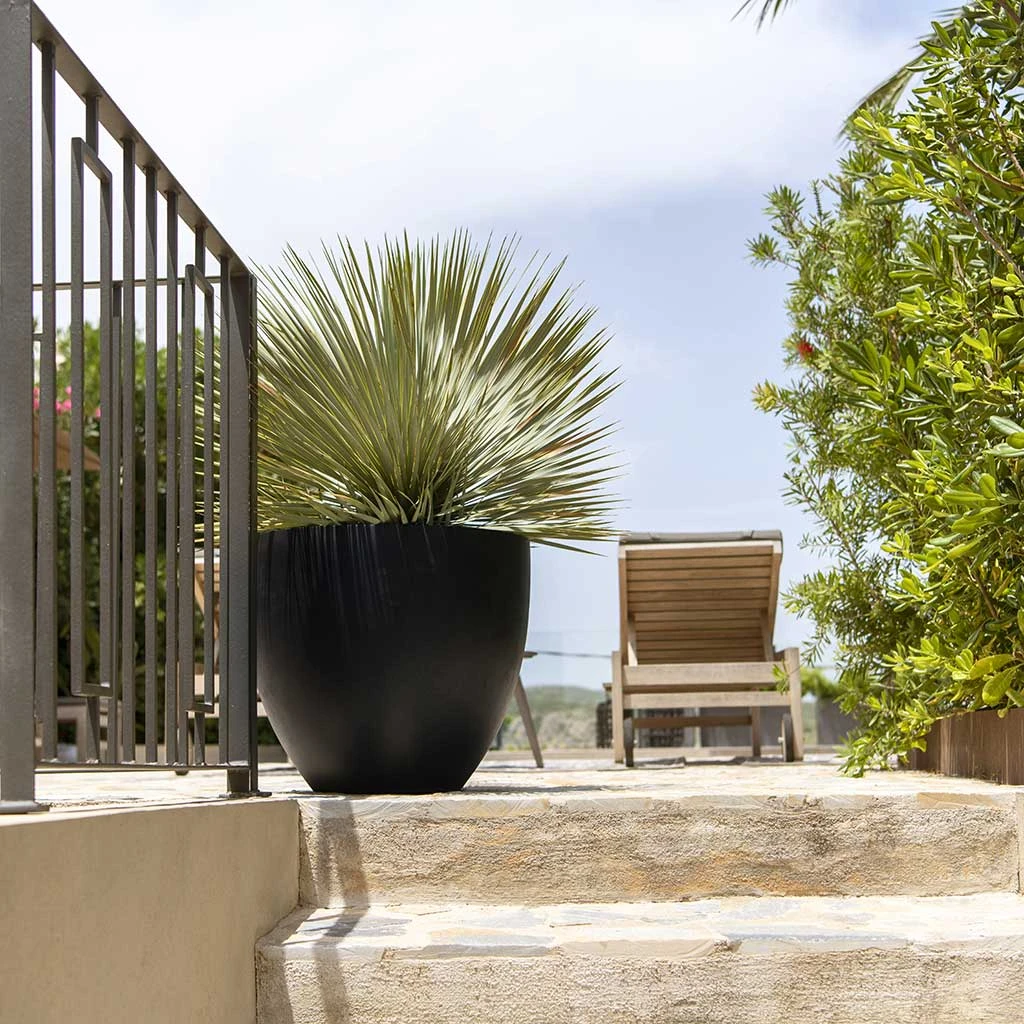 Jesslyn Natural Planter - Black 6 Jesslyn Natural Planter - Black - Image 4